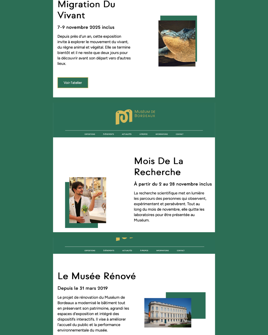 Image 4 du projet